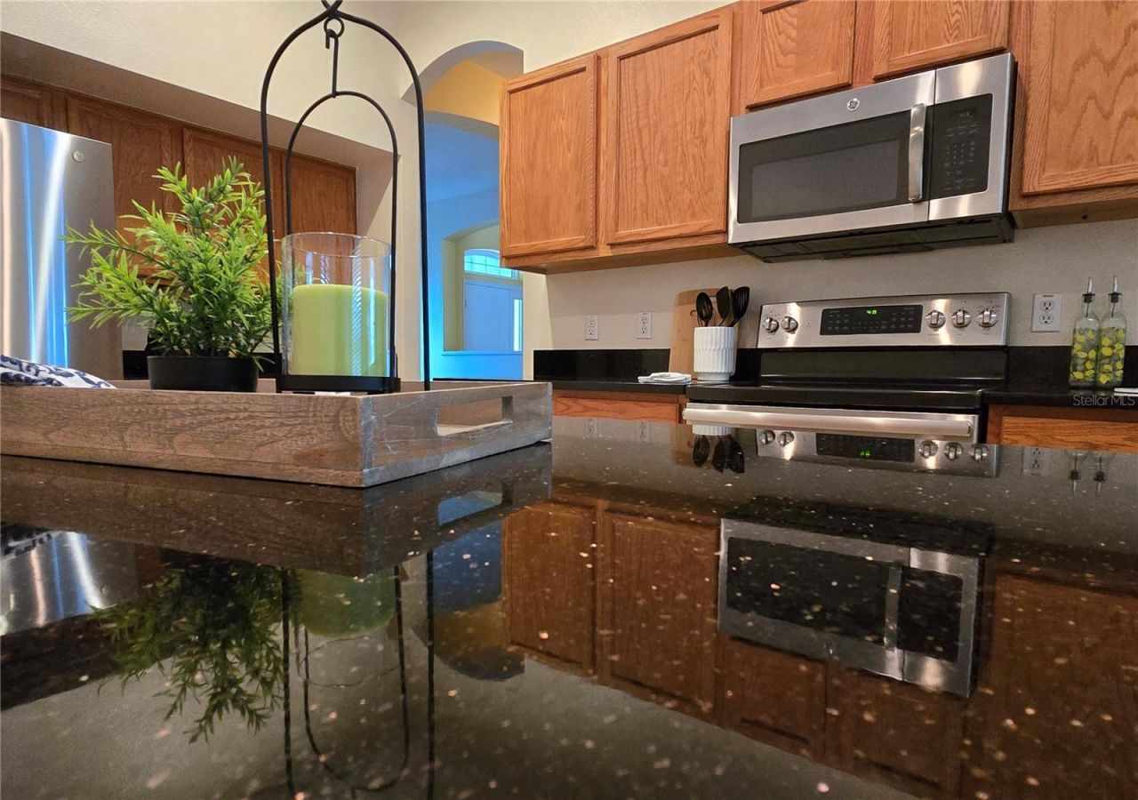 10157 Shallow Marsh Court , Orlando, FL 32832 Photo