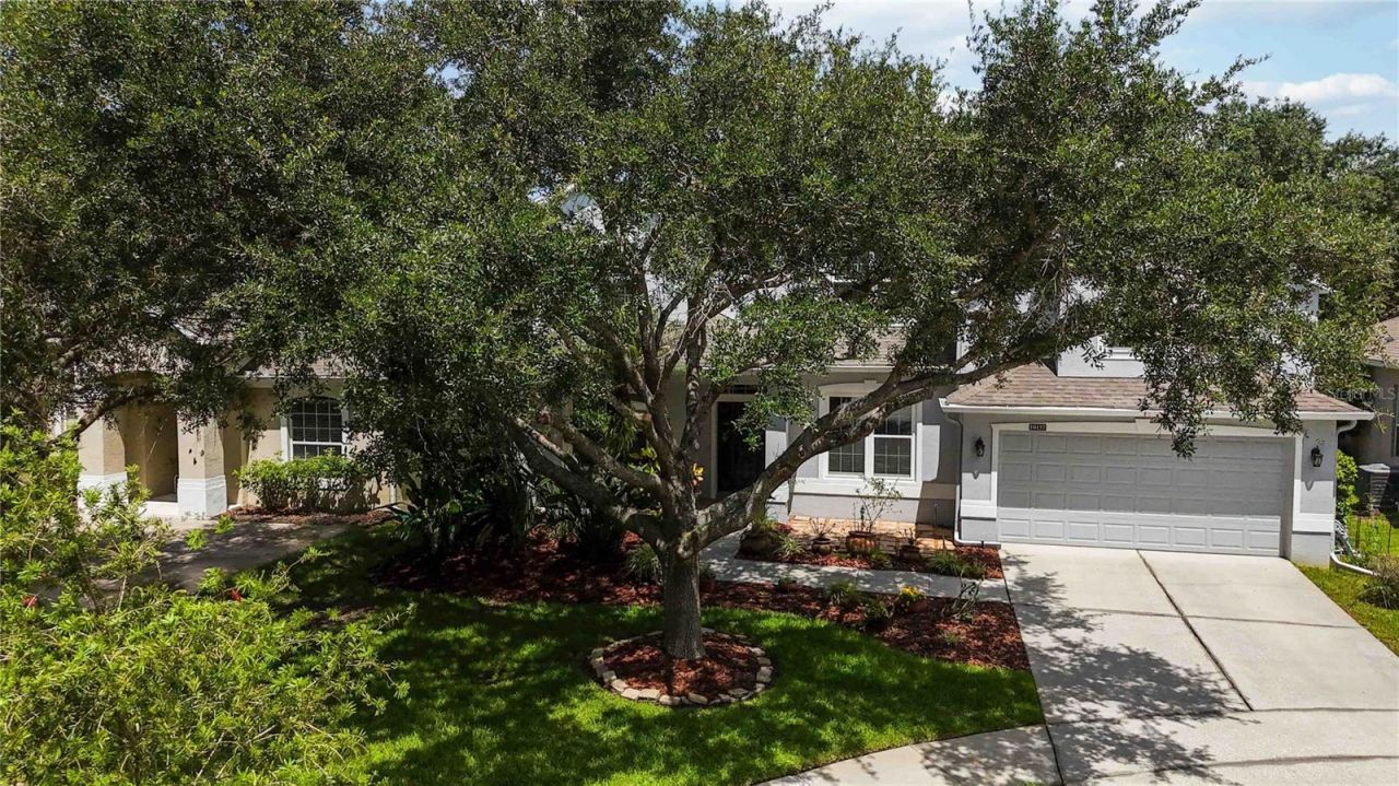 10157 Shallow Marsh Court , Orlando, FL 32832 Photo