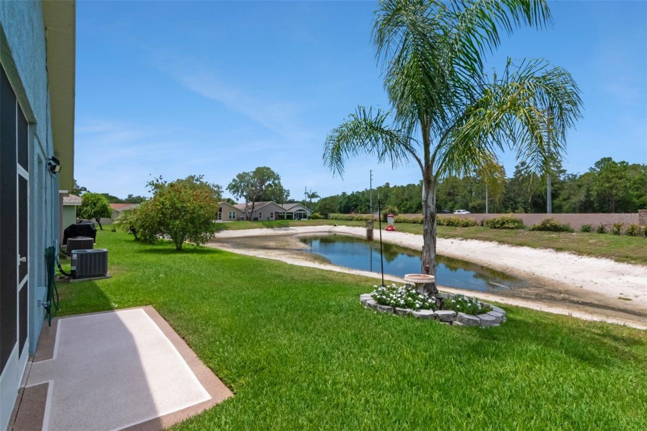 10029 Brookdale Drive , New Port Richey, FL 34655 Photo