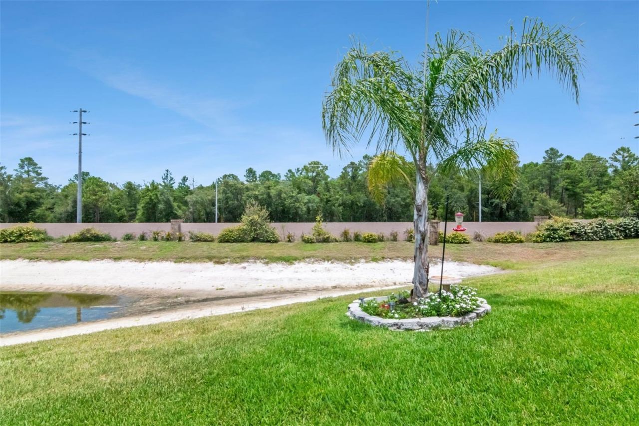 10029 Brookdale Drive , New Port Richey, FL 34655 Photo