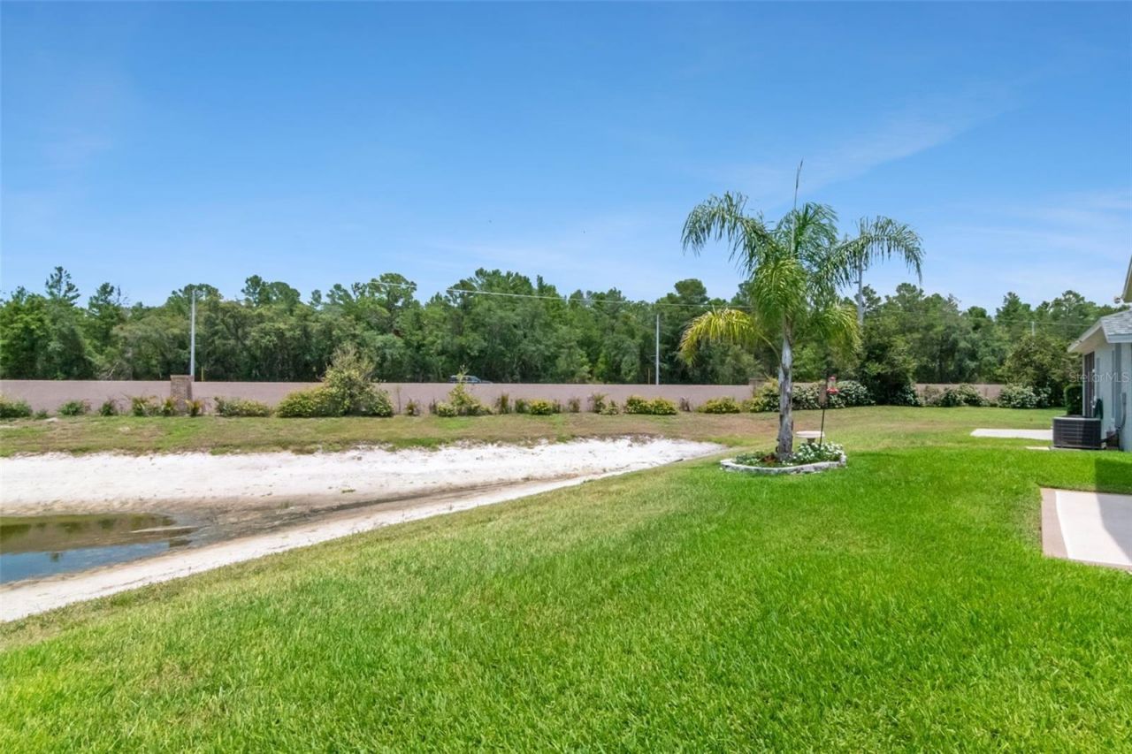 10029 Brookdale Drive , New Port Richey, FL 34655 Photo