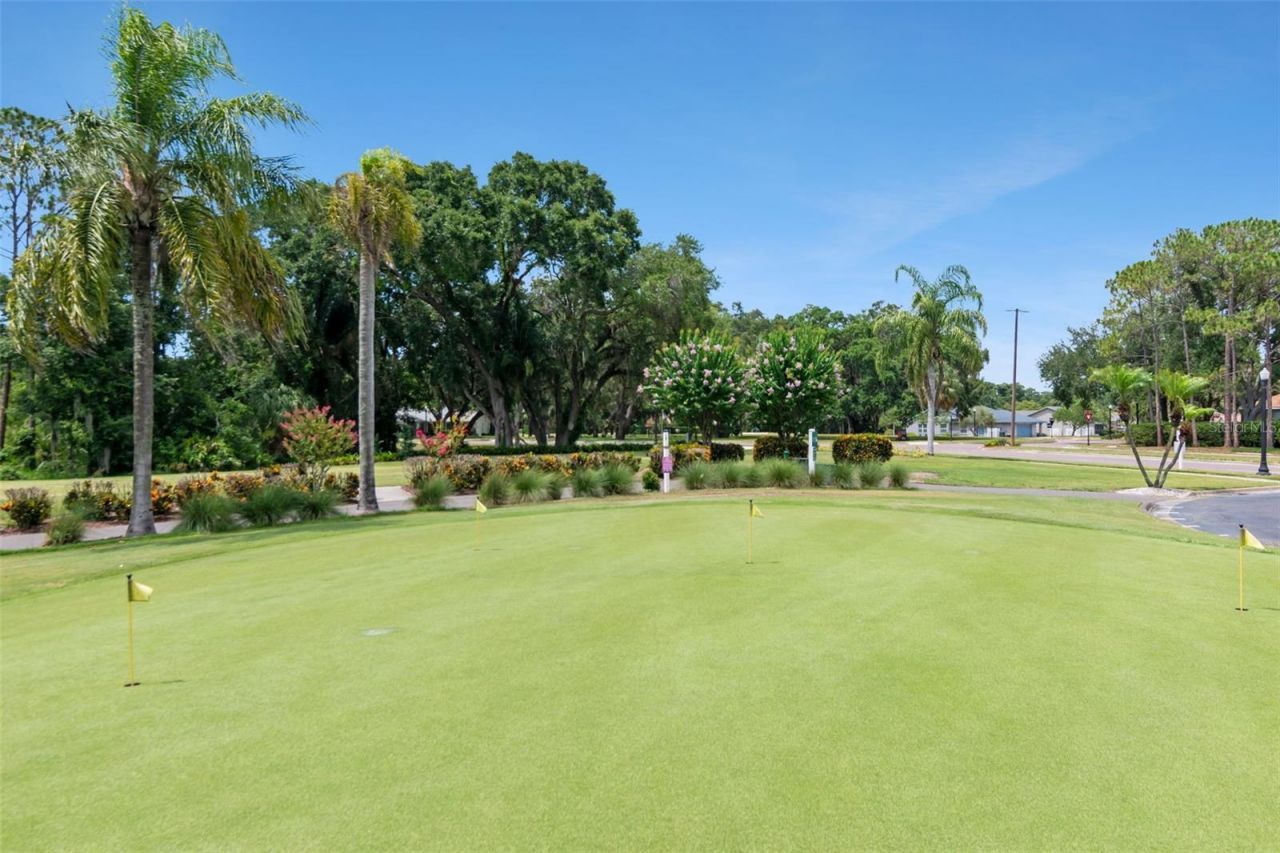 10029 Brookdale Drive , New Port Richey, FL 34655 Photo