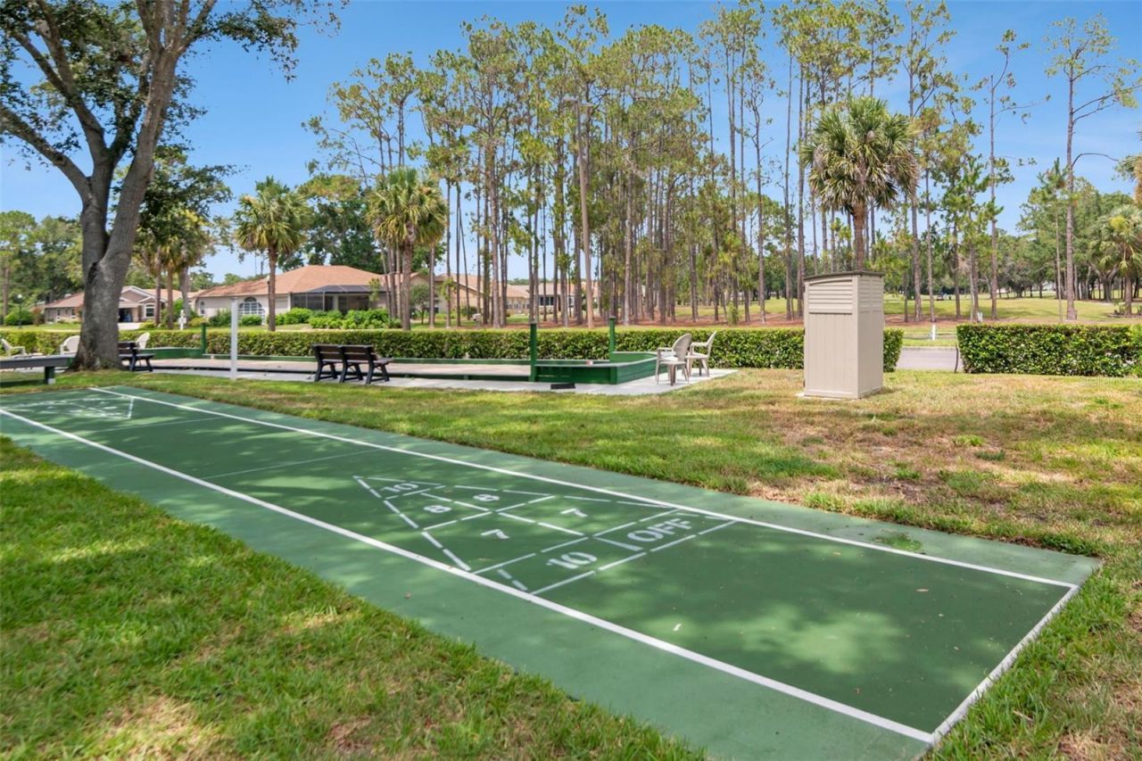 10029 Brookdale Drive , New Port Richey, FL 34655 Photo