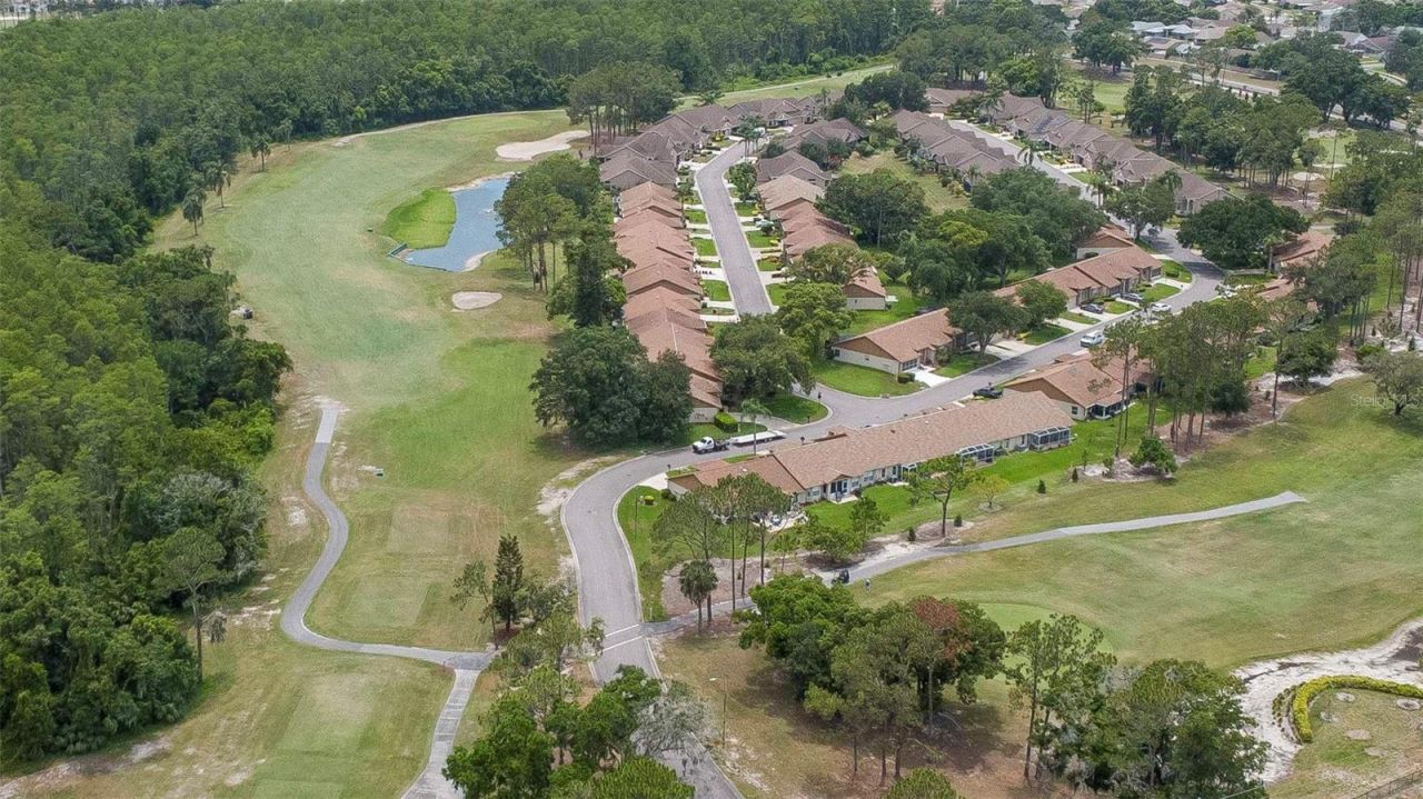 10029 Brookdale Drive , New Port Richey, FL 34655 Photo