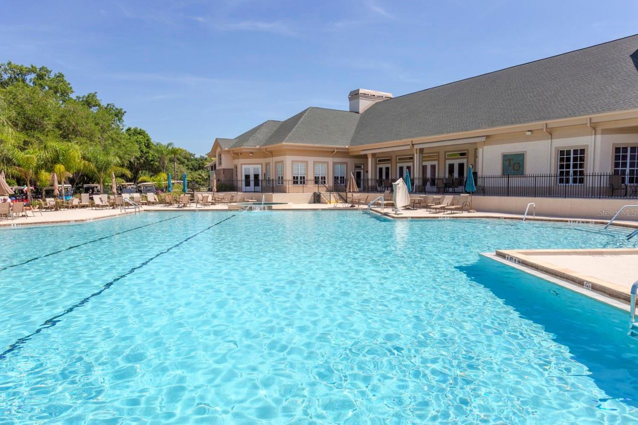 10029 Brookdale Drive , New Port Richey, FL 34655 Photo