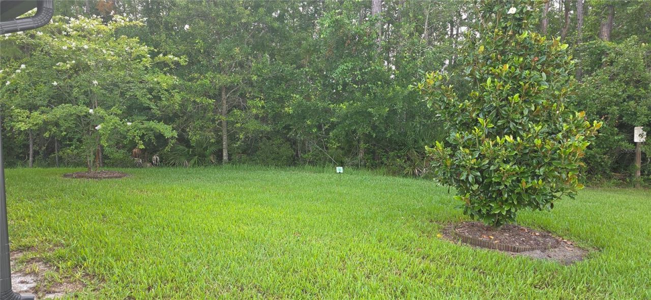 16 Pinnacle Place, Bunnell, FL 32110 Photo