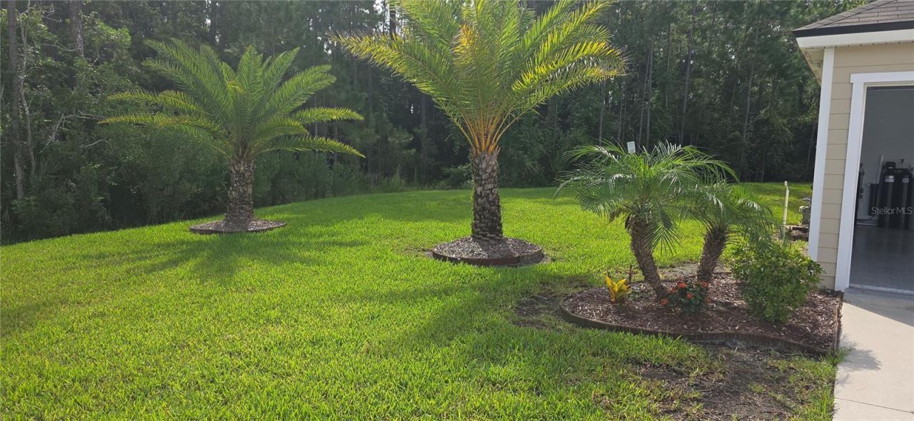 16 Pinnacle Place, Bunnell, FL 32110 Photo