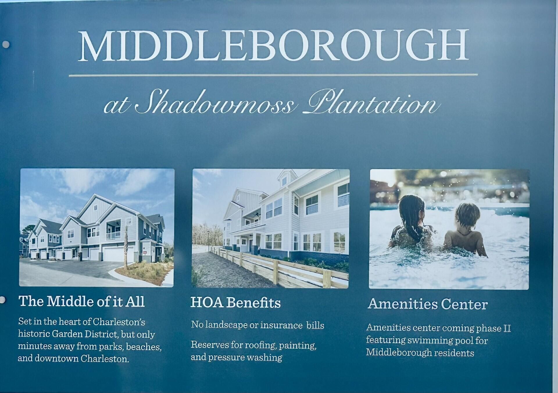 300 Flowering Peach Court Photo 28