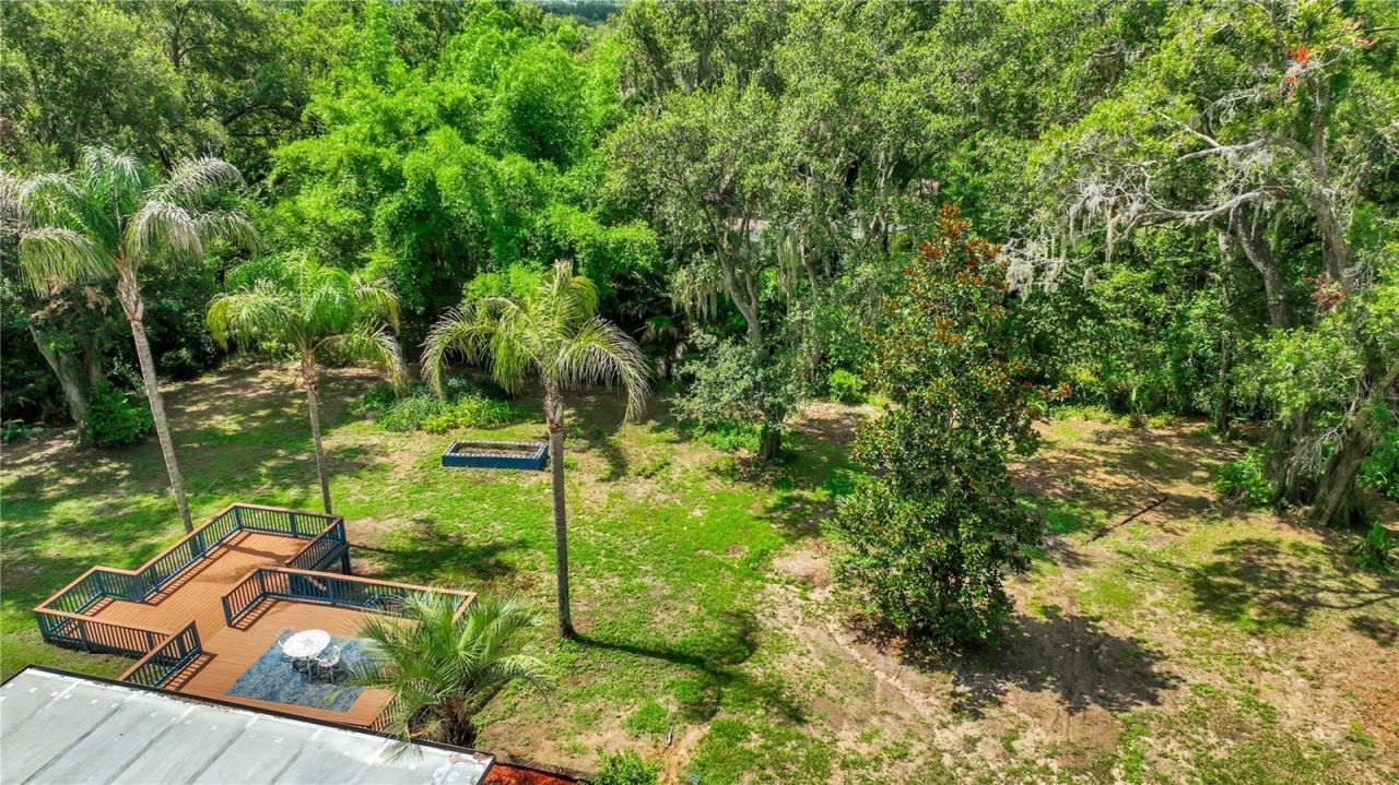 36510 Saint Joe Road, Dade City, FL 33525 Photo