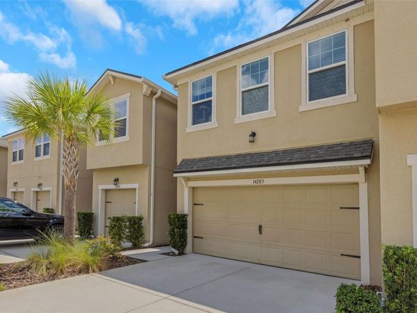 14203 DAMSELFLY DRIVE , TAMPA, FL 33625