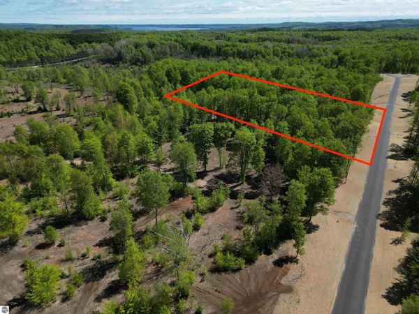 1371 Solaris Way E, Maple City, MI 49664