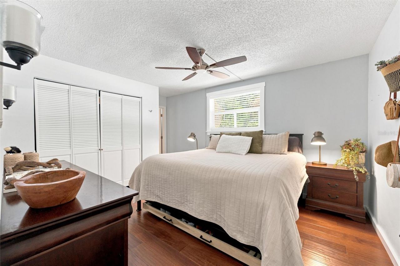 6230 Cedar Street Ne, Saint Petersburg, FL 33702 Photo