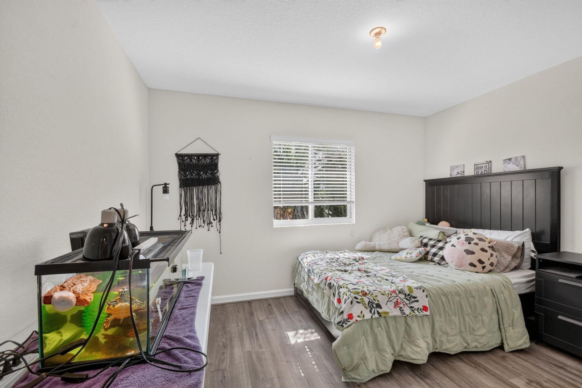 5667 Caranday Palm Drive, Greenacres, FL 33463 Photo