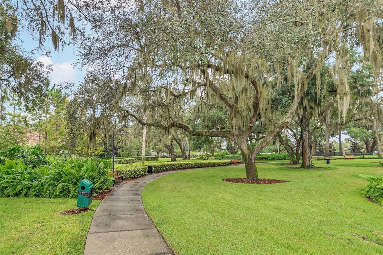 3995 Equine Cove, Lake Mary, FL 32746 Photo