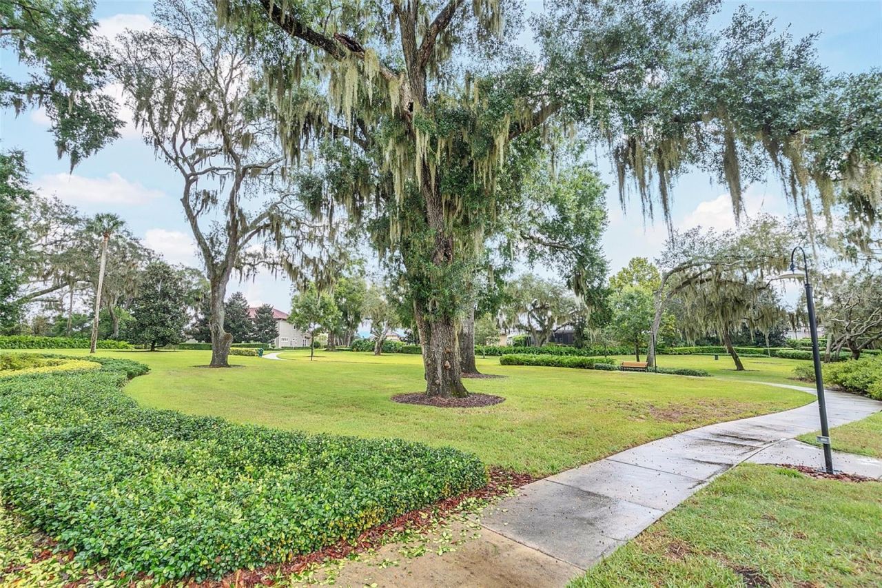 3995 Equine Cove, Lake Mary, FL 32746 Photo