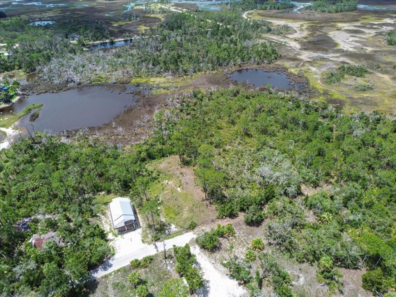 Tbd SW 276 Avenue, Steinhatchee, FL 32359 Photo