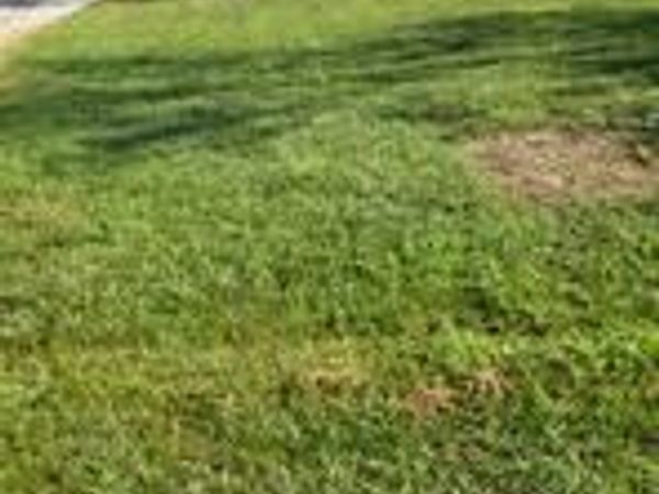 10644 Highway 322 Bellview Road, Clarksdale, MS 38614