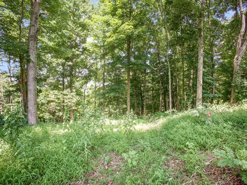 0 Calaway Road, Unit (Tract 5), Coolville, OH 45723 Photo 11