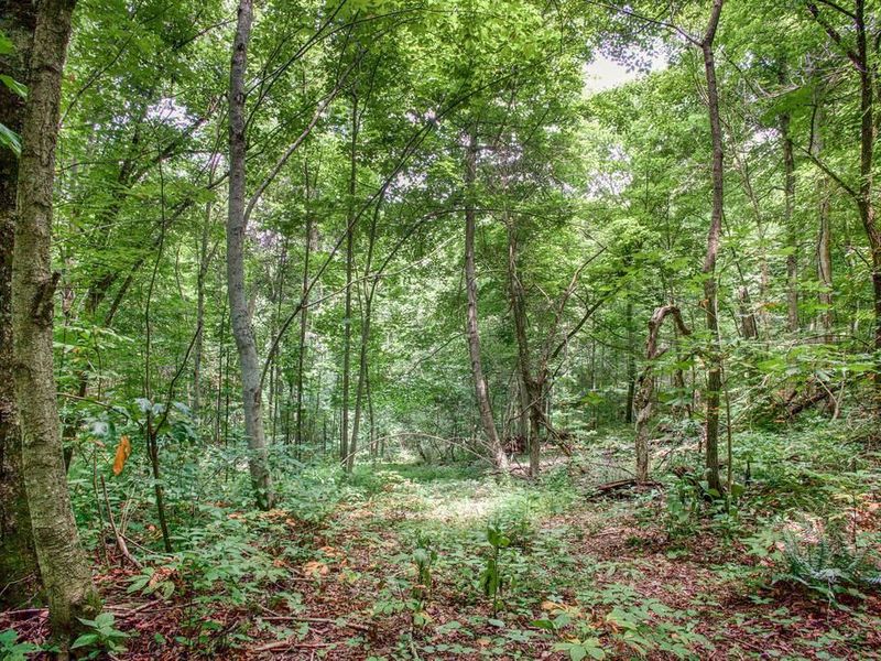 0 Calaway Road, Unit (Tract 5), Coolville, OH 45723 Photo 13