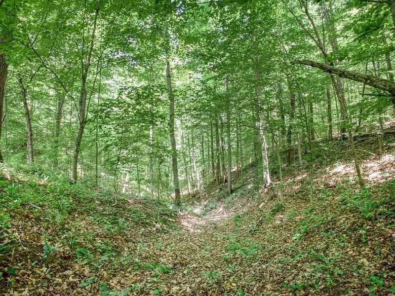0 Calaway Road, Unit (Tract 5), Coolville, OH 45723 Photo 14