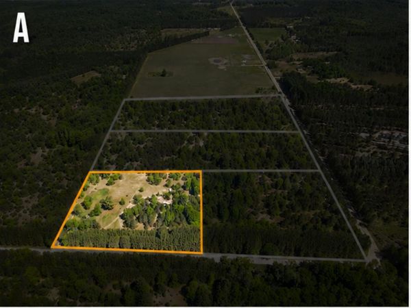 Parcel A Makinen Road, Kaleva, MI 49645