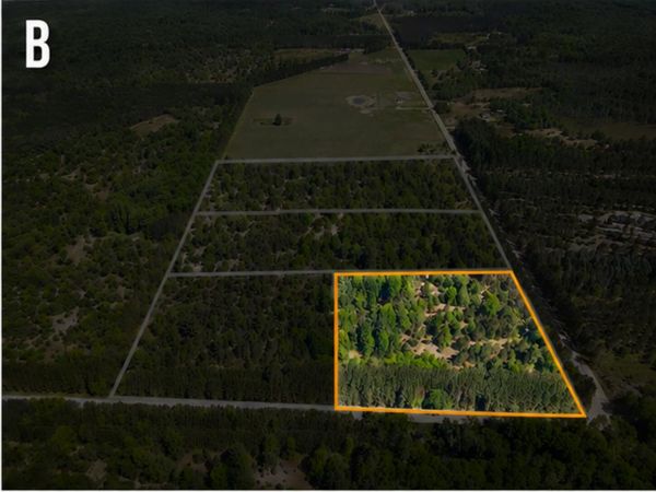 Parcel B Makinen Road, Kaleva, MI 49645