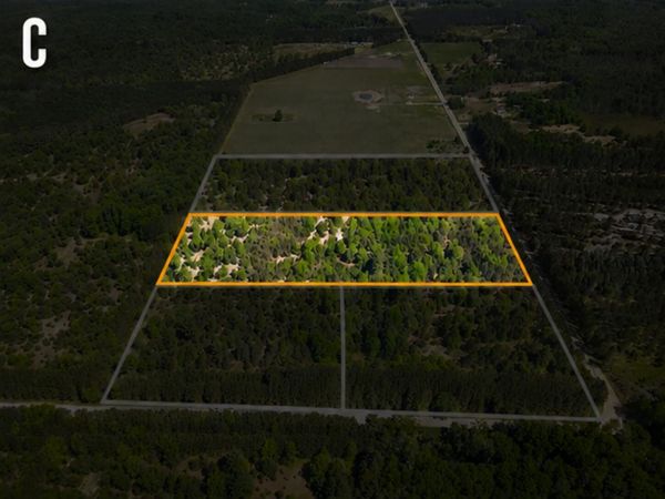 Parcel C Niemi Road, Kaleva, MI 49645