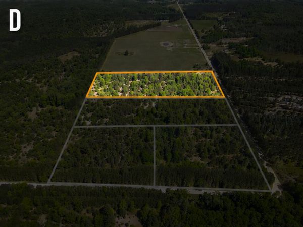 Parcel D Niemi Road, Kaleva, MI 49645