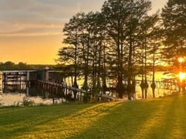 260 Lakeview, Horseshoe Lake, AR 72301