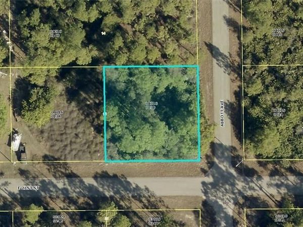 4307 E 21st ST , ALVA, FL 33920