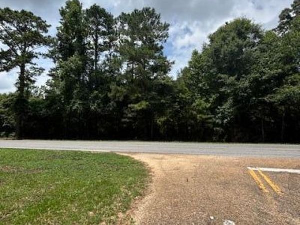 193 W Ms-48 , Tylertown, MS 39667