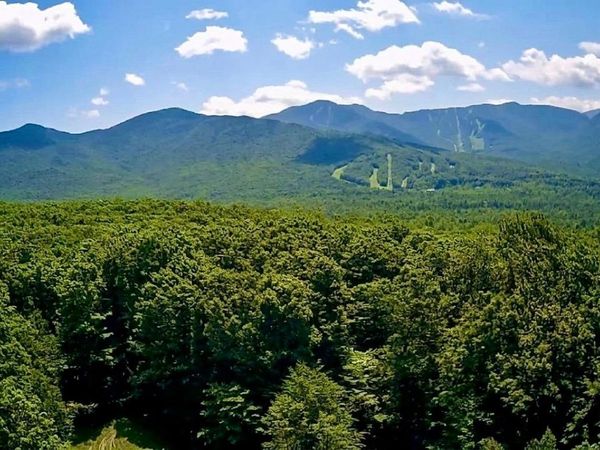 0 Sweeney Lane, Unit 49/50, Cambridge, VT 05464