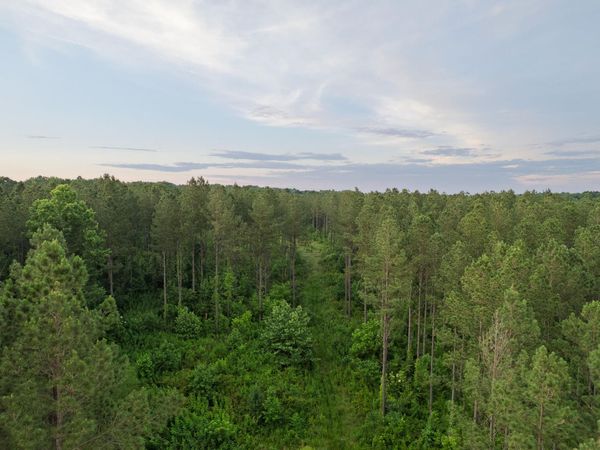 54 County Road 966, Calhoun, TN 37309