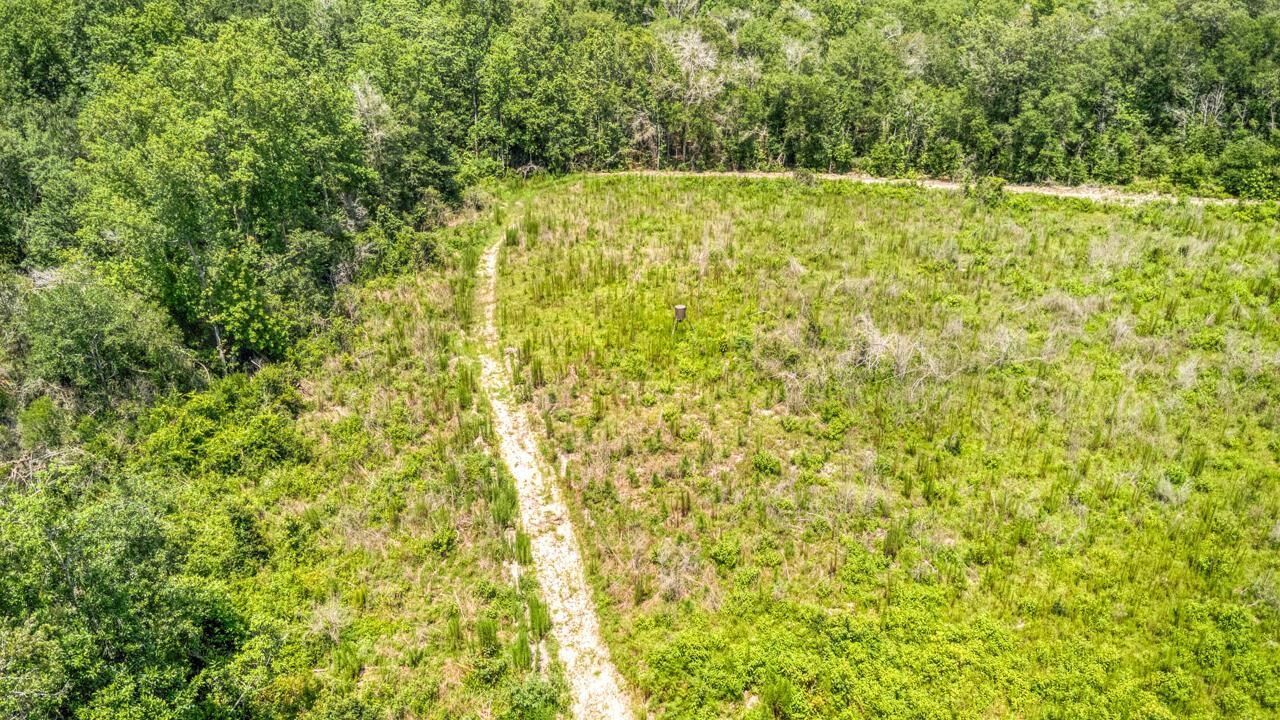 3765 Glory Road , Quincy, FL 32352 Photo