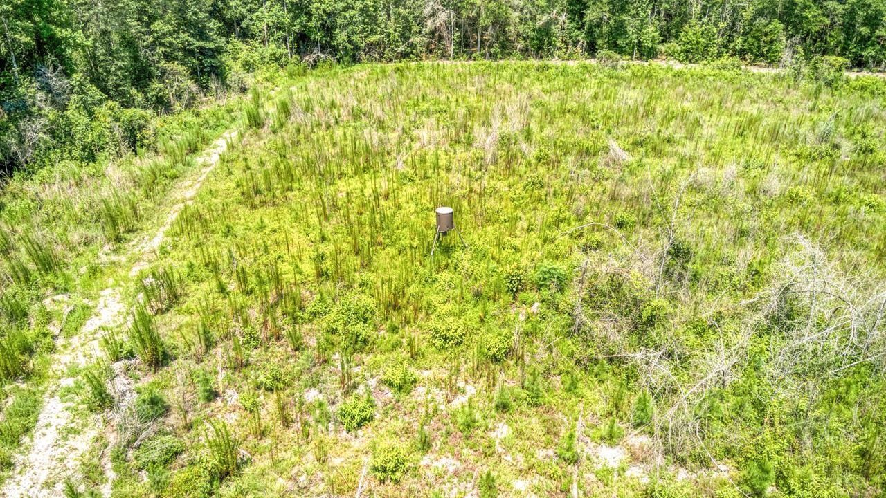 3765 Glory Road , Quincy, FL 32352 Photo