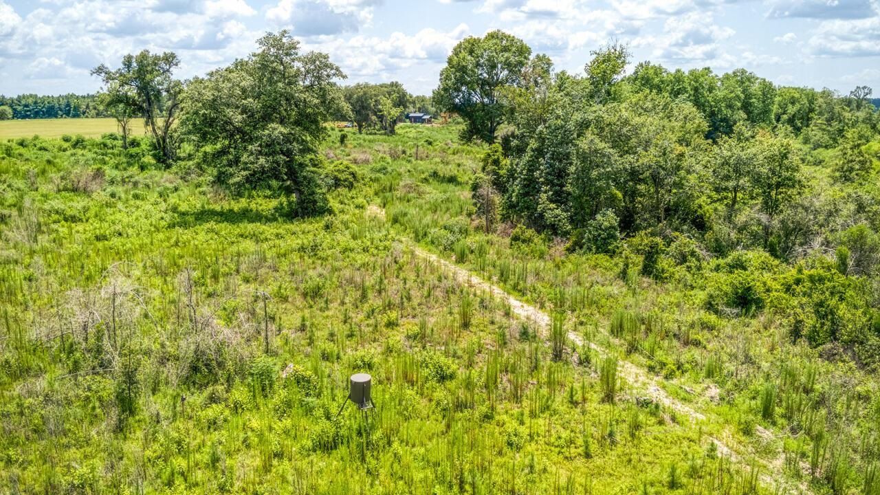 3765 Glory Road , Quincy, FL 32352 Photo