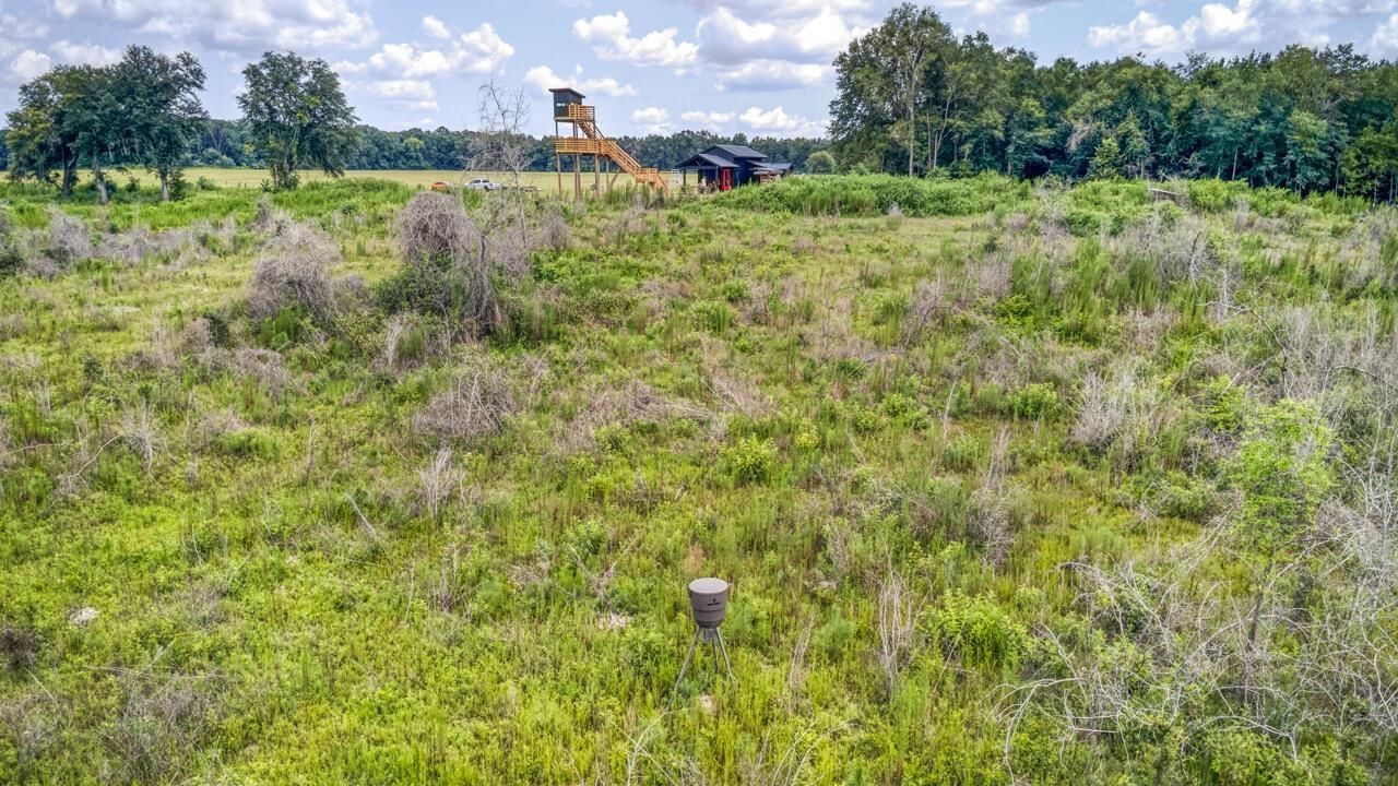 3765 Glory Road , Quincy, FL 32352 Photo