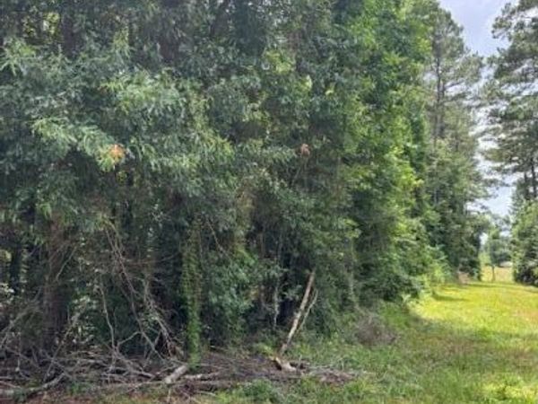 L W Johnson Road, Tylertown, MS 39667