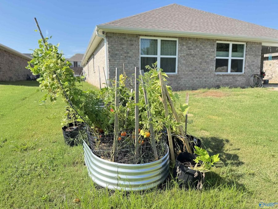 Property Image 43