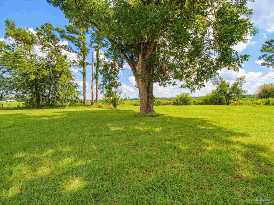 Property Image 64