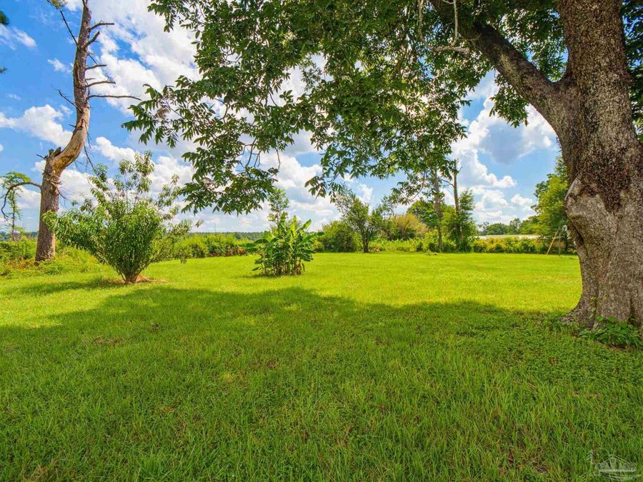 Property Image 65