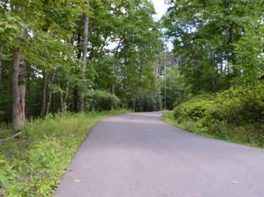 Lot 192 Azalea Drive, Terra Alta, WV 26764