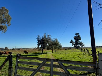 Blake Rd, Wilton, CA 95693 Photo