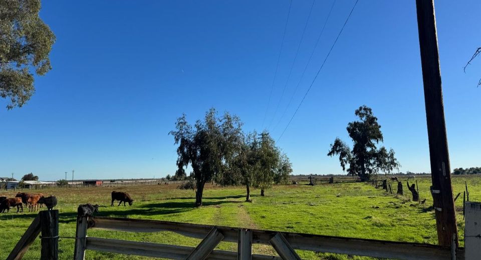 Blake Rd, Wilton, CA 95693 Photo