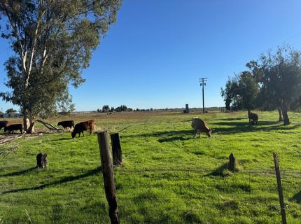 Blake Rd, Wilton, CA 95693 Photo
