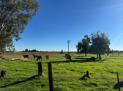 Blake Rd, Wilton, CA 95693 Photo