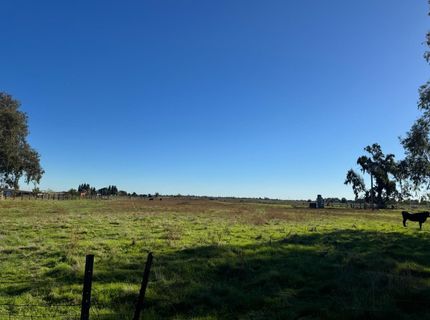 Blake Rd, Wilton, CA 95693 Photo