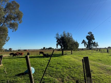 Blake Rd, Wilton, CA 95693 Photo