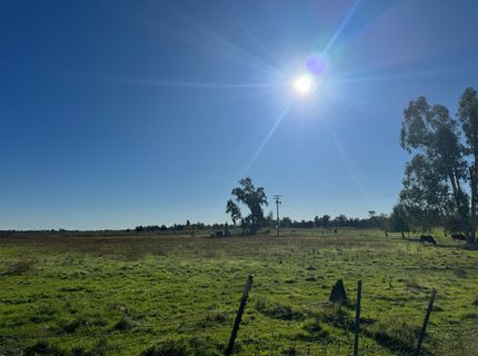 Blake Rd, Wilton, CA 95693 Photo