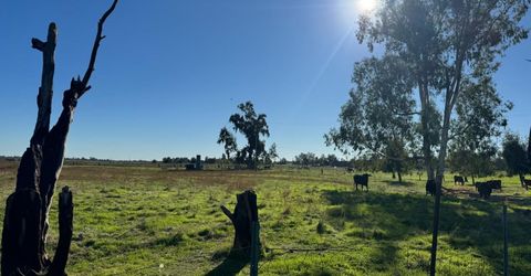 Blake Rd, Wilton, CA 95693 Photo
